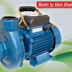 Máy bơm nước Shining SHP750-CE